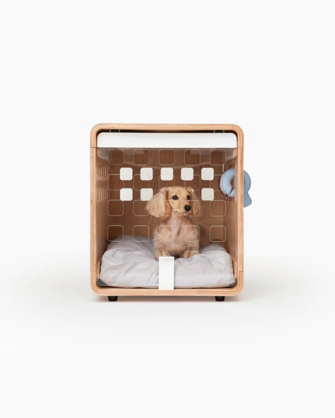 Modern Gear for Modern Dogs